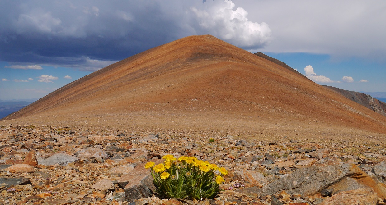 Peaks For Freaks Koip Peak, Kuna Peak