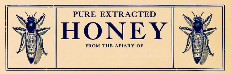 pure extracted honey