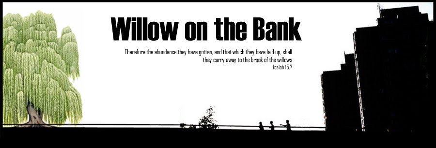 Willow on the Bank Sky Cowboys