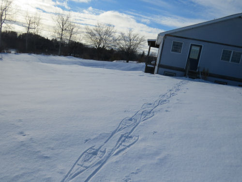 tracks