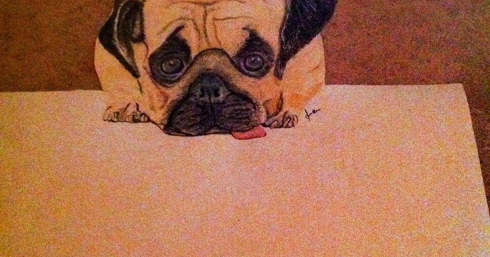 Pencil and Paint: Pug