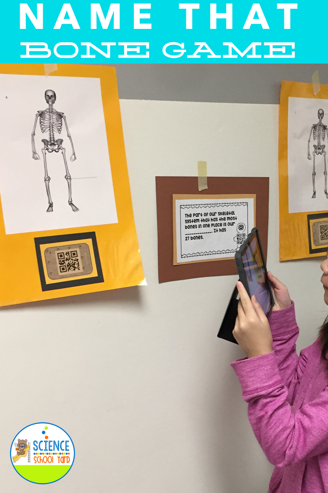 6 Skeletal System Game Ideas for Studying Bones! The Science School Yard