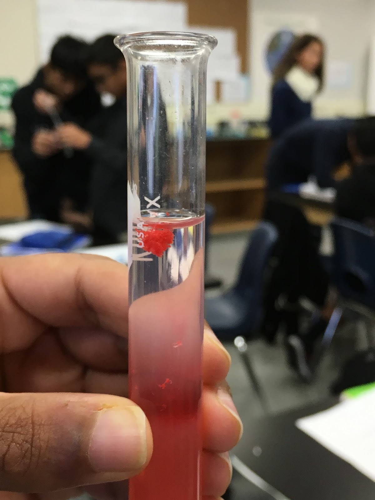 avabiology DNA Extraction Lab Conclusion