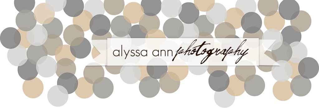 Alyssa Ann Photography