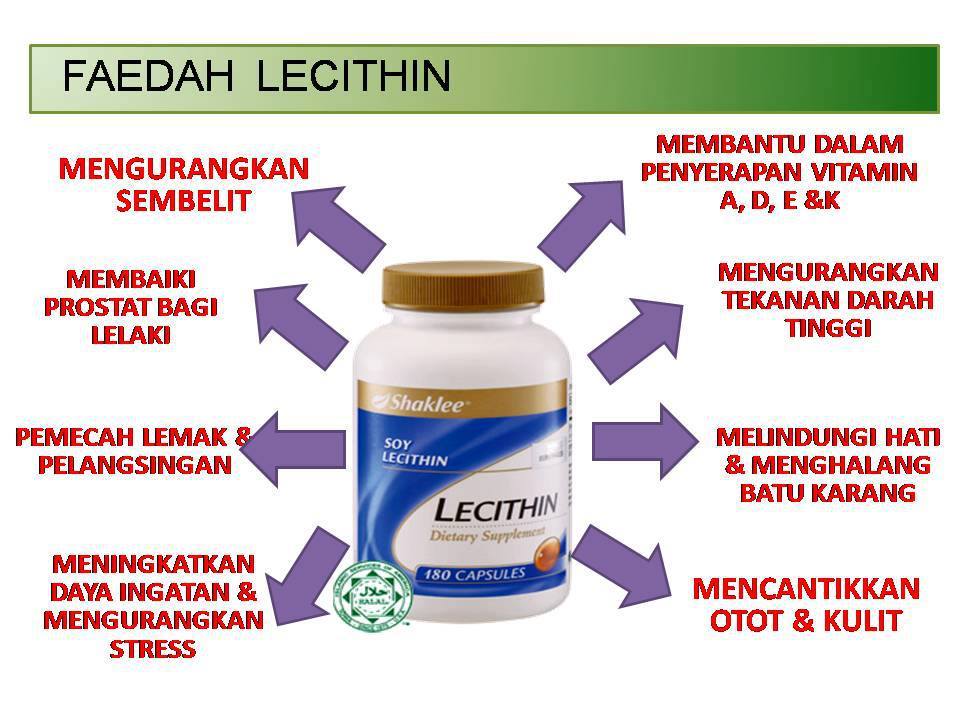 Apa kelebihan Lecithin sampai ia jadi supplement kegilaan ramai