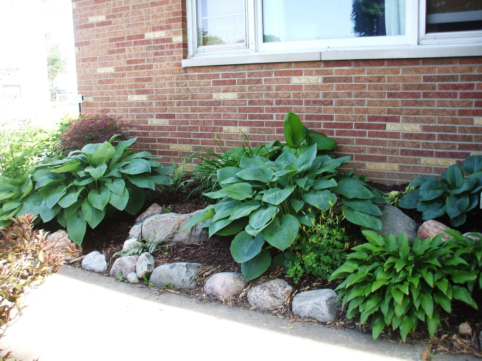 Flowering Bushes Zone 5 By Doodle