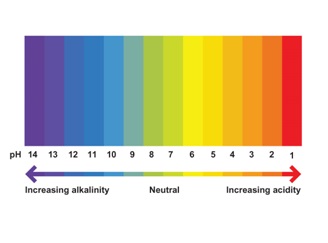 The pH Scale