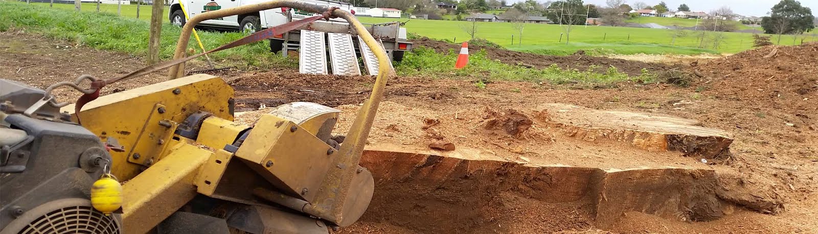 Stump Grinding and Removal In Auckland