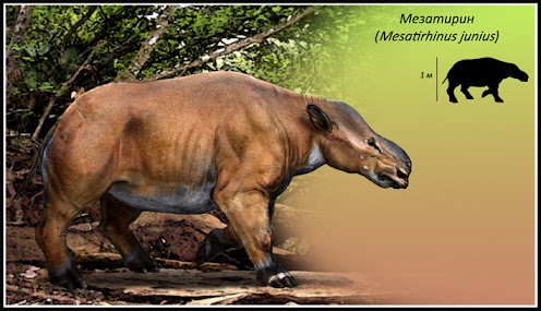 perissodactilos prehistoricos Mesatirhinus