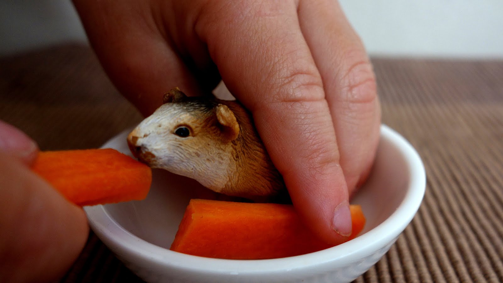 What Vegetables Can Guinea Pigs Eat Vege Choices