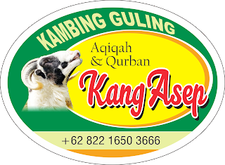 supplier kambing guling