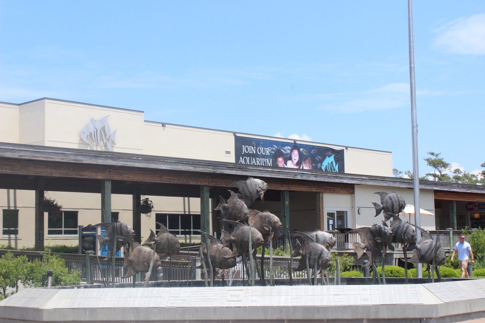 The Largest Aquarium in North Carolina Pine Knoll Shores MyCrystalCoast