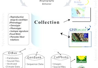 Collections Management (museum) - Museum Collections Management