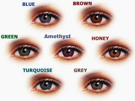 Acuvue 2 Colors Chart