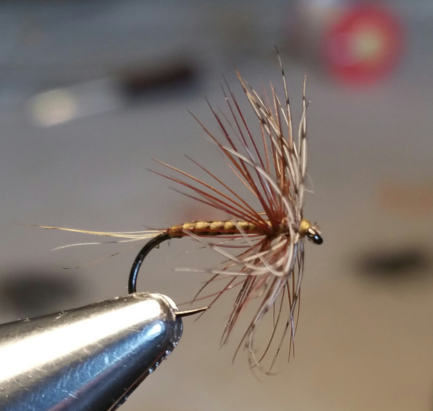 Piscari-Fly : Spring Time Dry Fly-fishing on Rivers