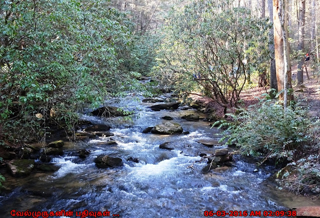 Panther Creek