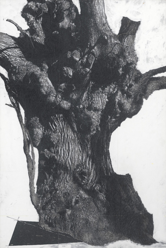 Patrick Van Caeckenbergh - Drawing of old trees on wintry days during 2007-2014 Patrick Van Caeckenbergh, contemporary drawing, Het Muziekbos