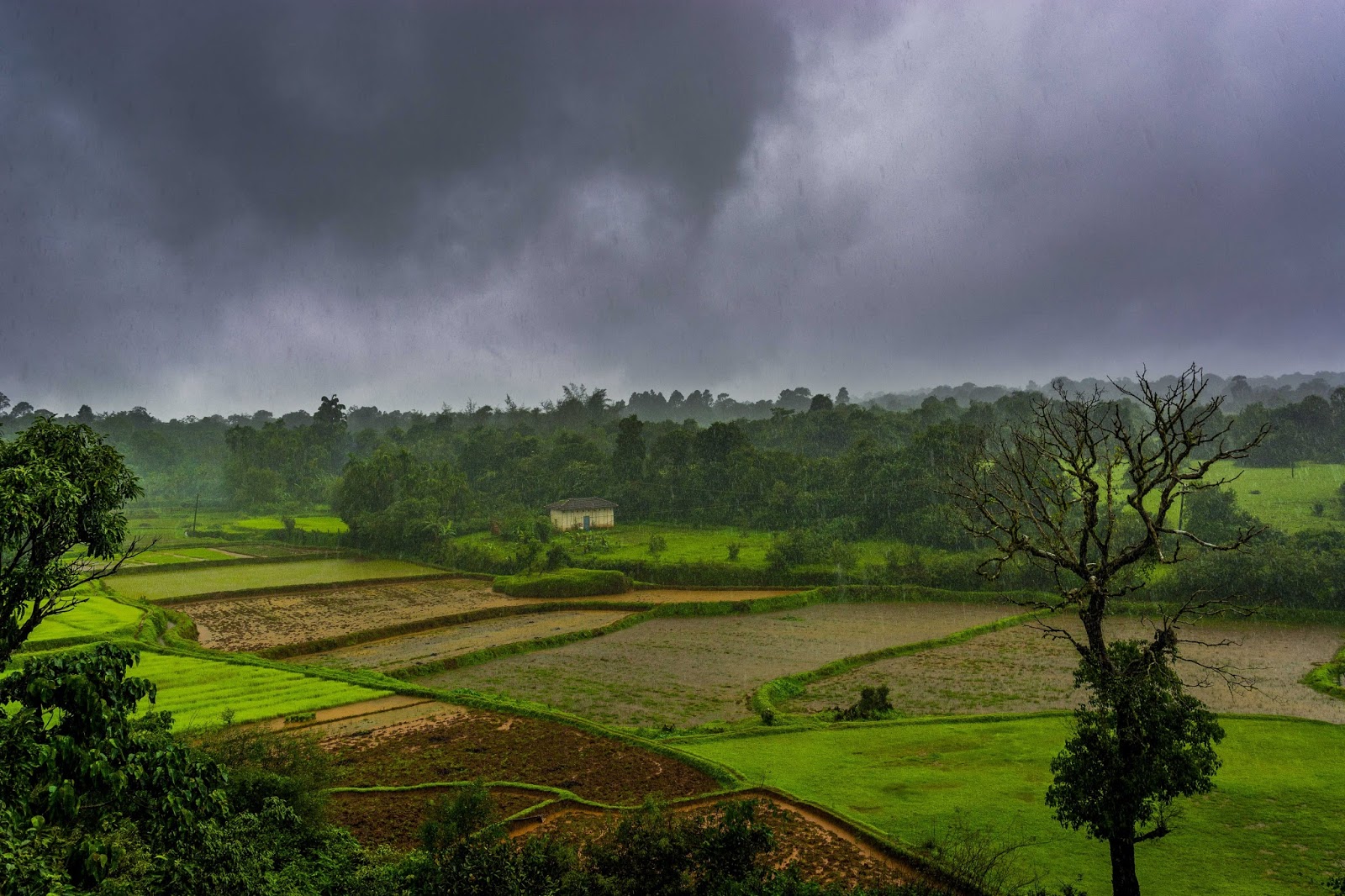 6 Unexplored Hill Stations in South India for this Summer | Trawell.in Blog