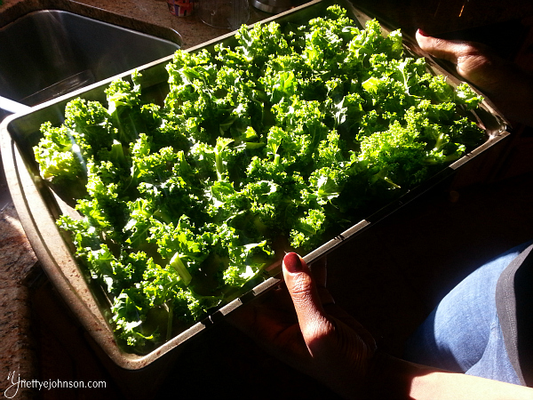 NJ Kale