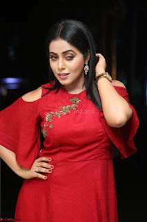 Poorna in Maroon Dress at Rakshasi movie Press meet Cute Pics ~  Exclusive 03