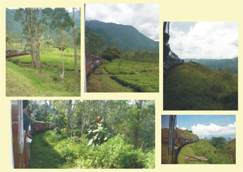 Best places to visit in Sri Lanka Nuwara Eliya