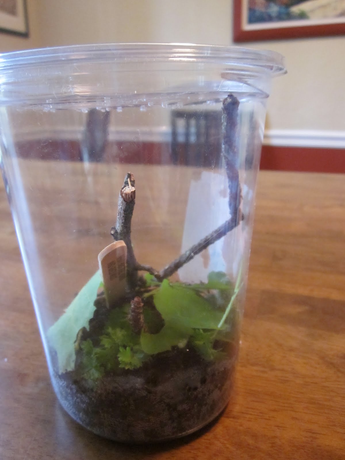 A Lifestyle of Learning: Hunting for Inchworms