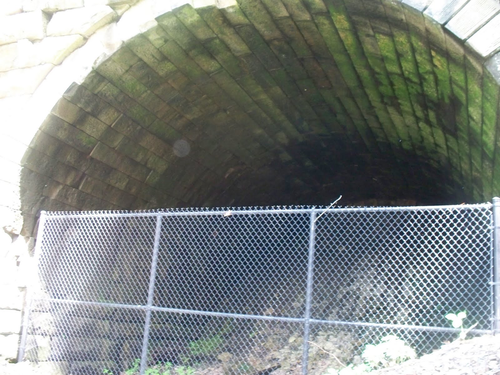 National Front for the Liberation of Fayettenam Conemaugh Dam