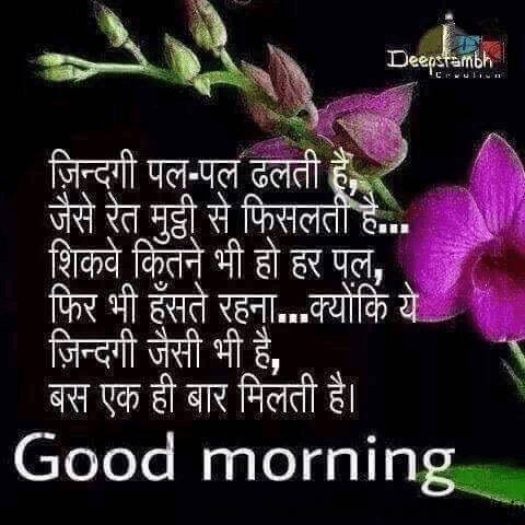 good morning friends have a nice day