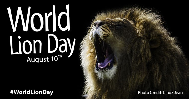 Август лев даты. Международный день Льва. Всемирный день Льва 10 августа. Всемирный день Льва открытки. 10 Августа праздник Льва.