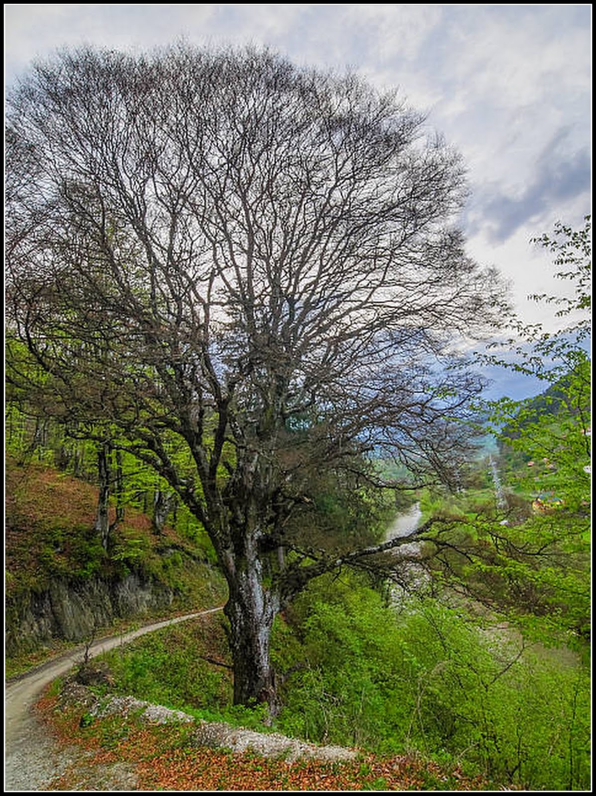 Lumea văzută din Turda Baia de Aries judetul Alba