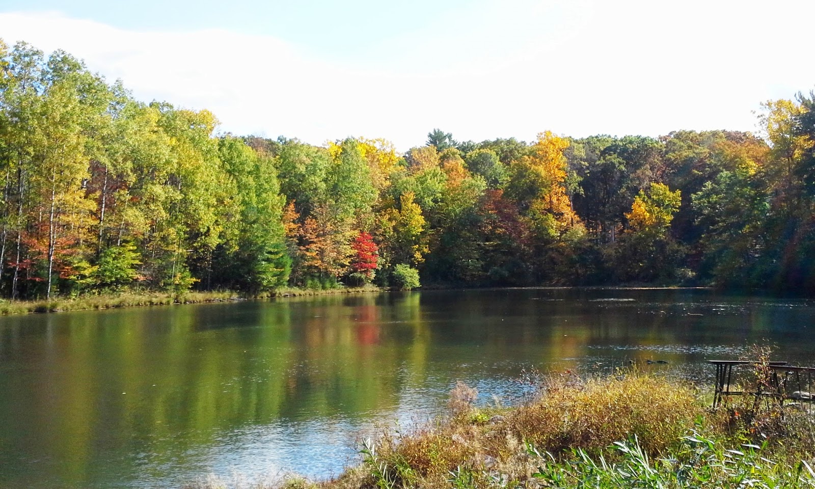 Wurtsboro Boy October 2014