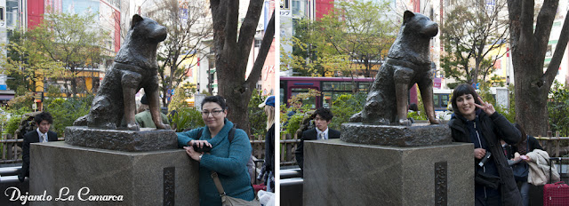 Japón primavera 2016 - 18 días (con bajo presupuesto) - Blogs de Japon - Día 4 - Gyoen - Meiji - Shibuya - Odaiba (8)