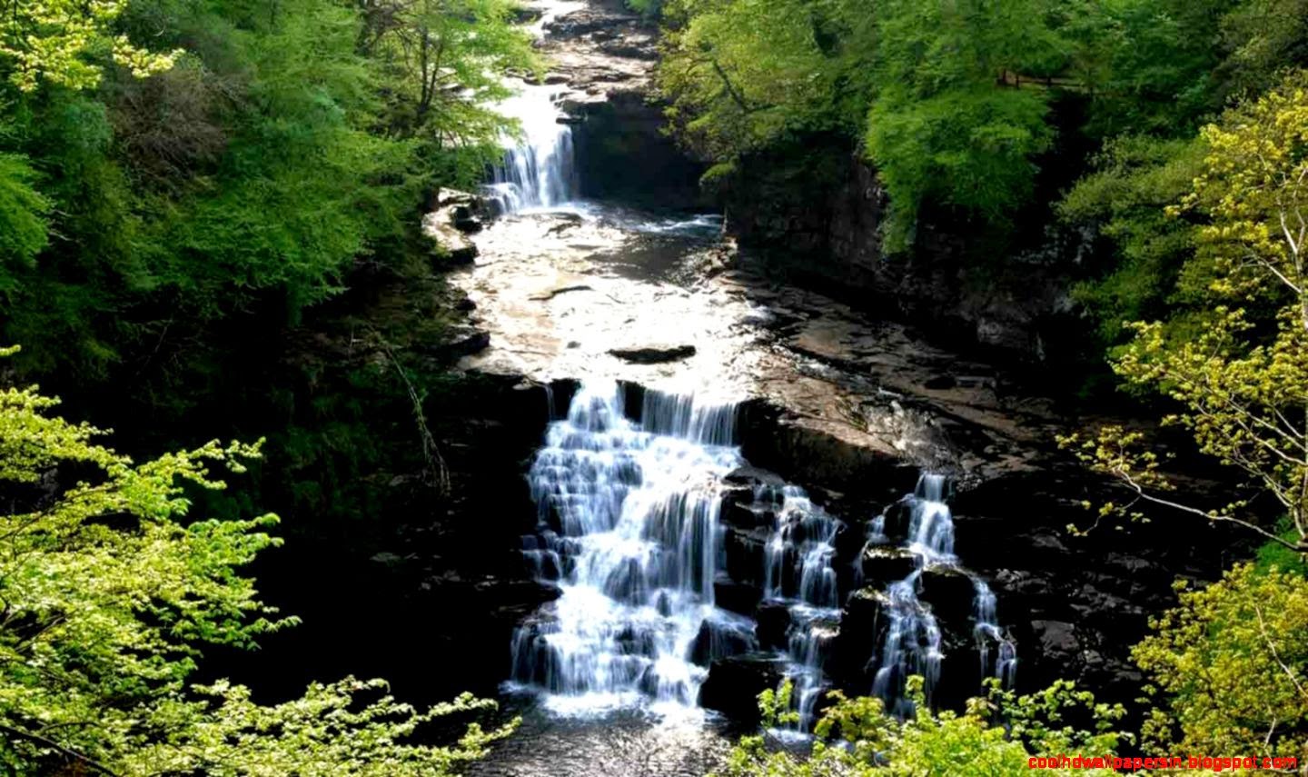 DreamScene Wallpaper Pack   Freeware   EN   Download