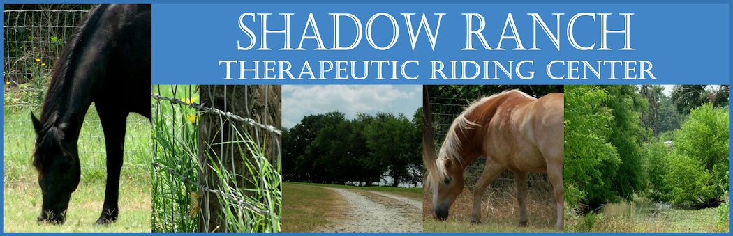 Shadow Ranch Therapeutic Riding Center