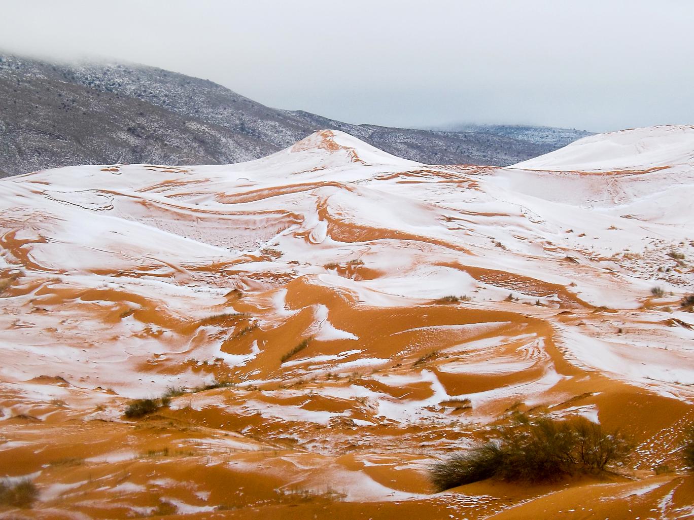 Paranormal Searchers First Sahara desert snow in 40 years captured in