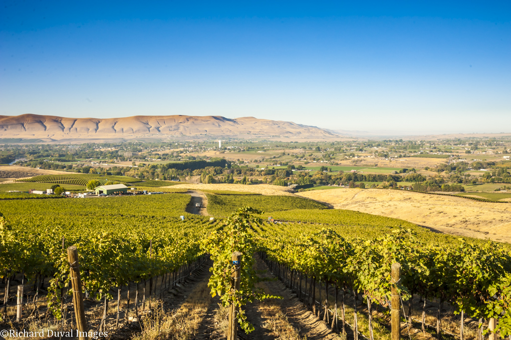 Perfect harvest weather leads to strong year for Washington Northwest