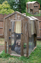coop chicken reused materials reuser wood