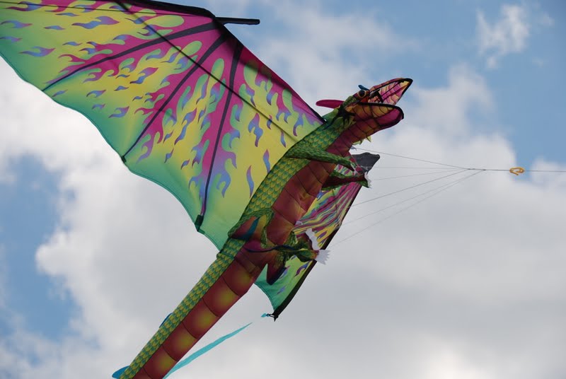 The Andrew Project Dragon Kite