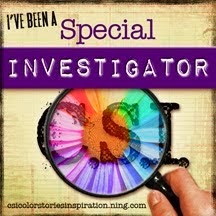 Special Investigator