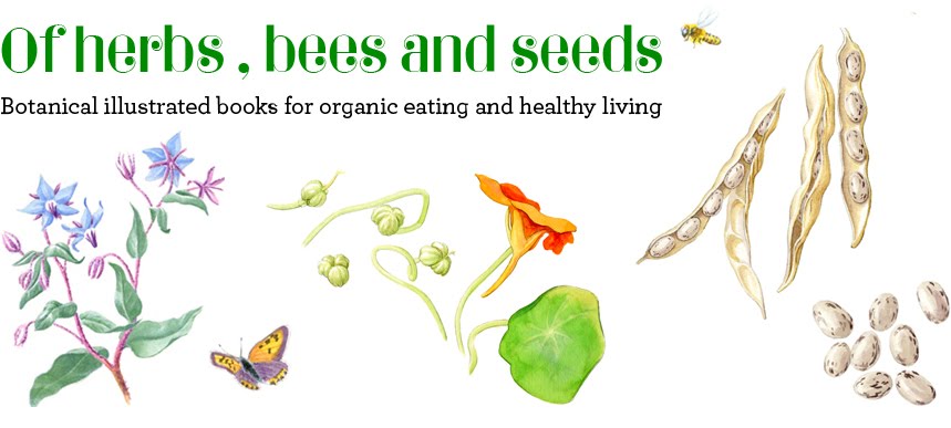Of herbs, bees and seeds