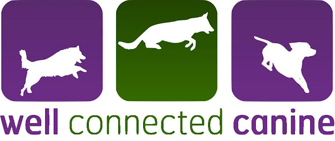 The Well Connected Canine Blog