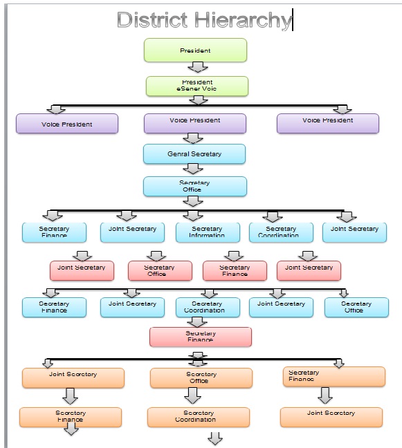 Assignment OF The Day: Download Free Hierarchy Flow Chart ...