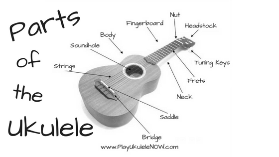 Anatomy of the uke: Parts of the ukulele