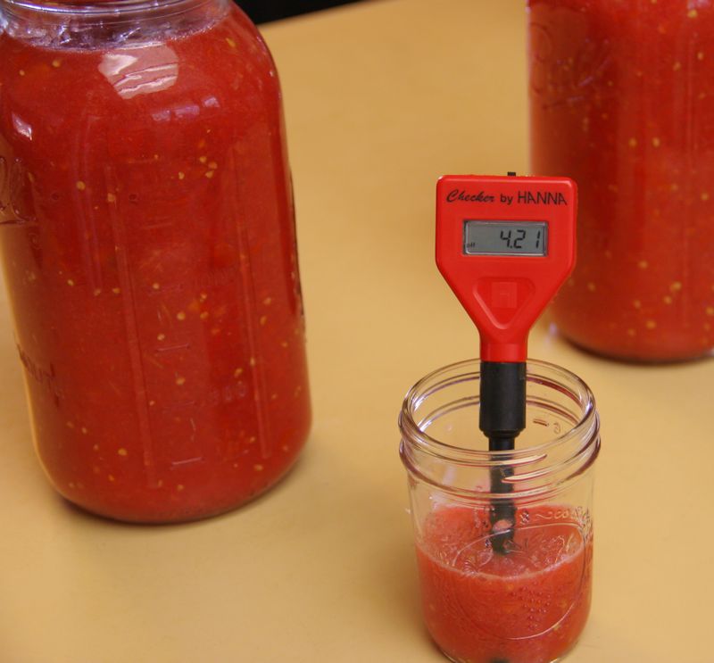 Sunny Slope Orchard Tomatoes on My Mind