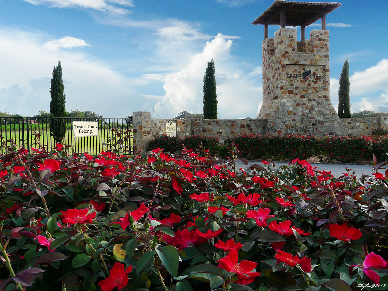 Fredericksburg Texas Culture Blog