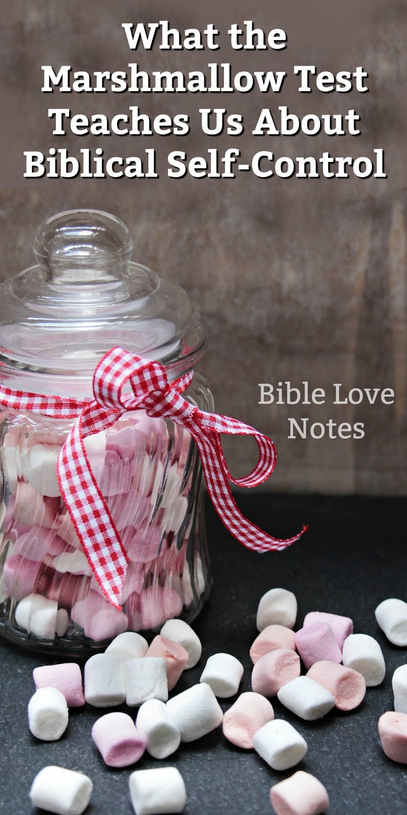 1Minute Bible Love Notes The Marshmallow Test Studies SelfControl