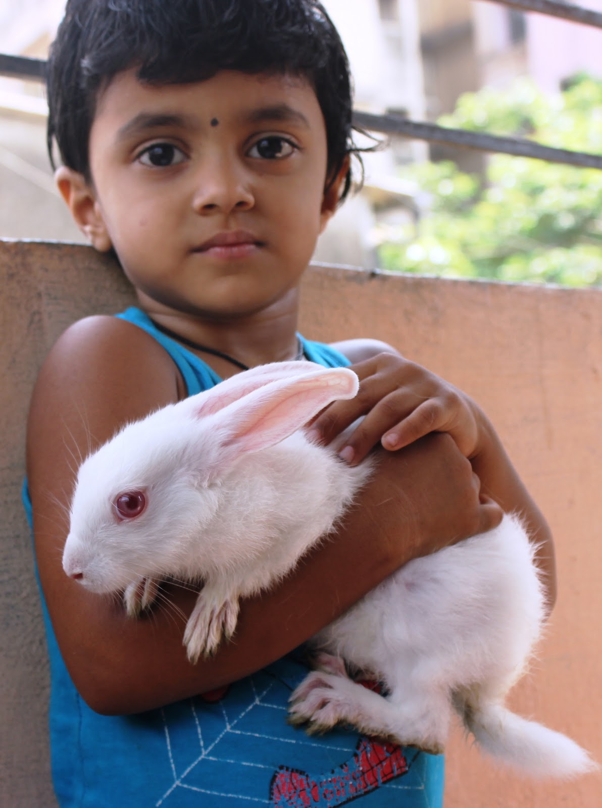 PAWSMumbai Press Kit Update Timely rescue saved life of baby rabbit
