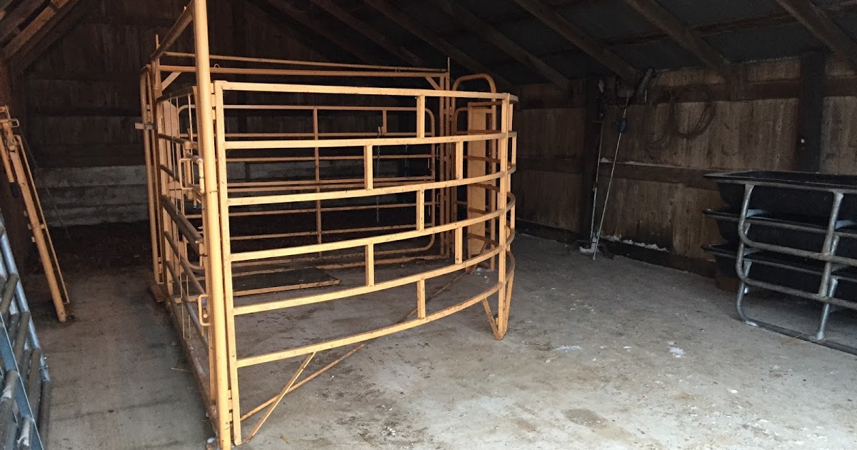 The Life Of A Cow Chick Renovated Calving Area