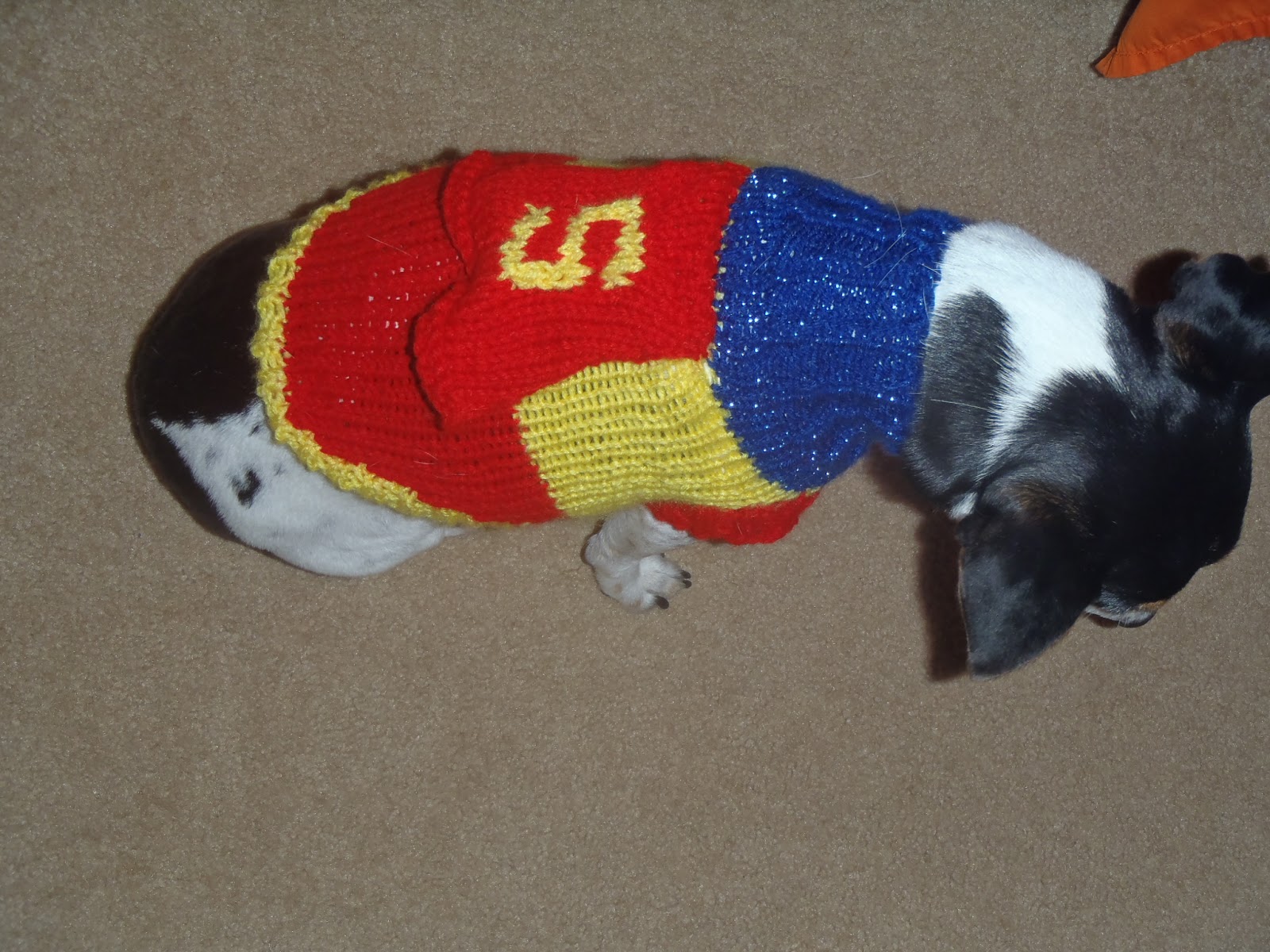Becky's Blog lots of fun shtuff How to Knit a Super Dog Sweater