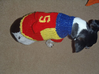 How to Knit a Super Dog Sweater
